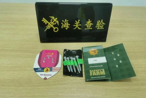 日用品藏毒案 南寧海關查獲大麻種子